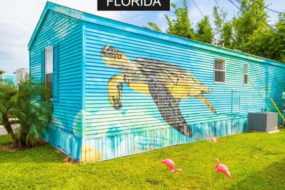 Sea Turtle- Full Sized living at Tiny House Siesta - Image 1
