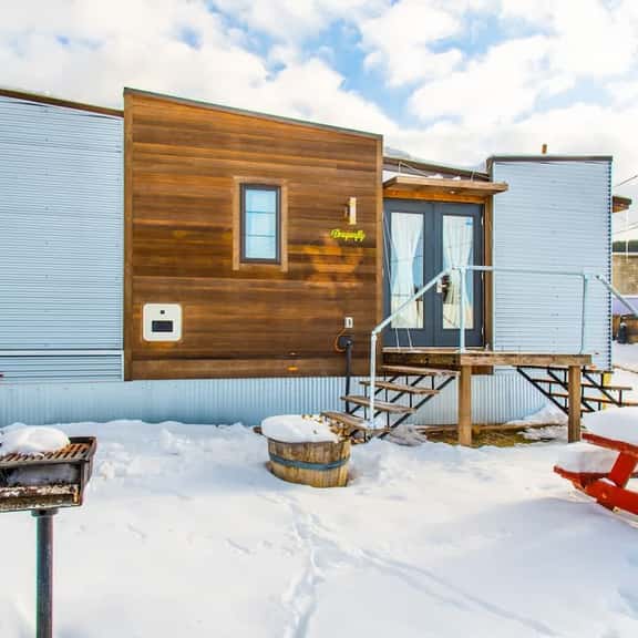 Downtown Leadville - Tiny house dragonfly - Image 1
