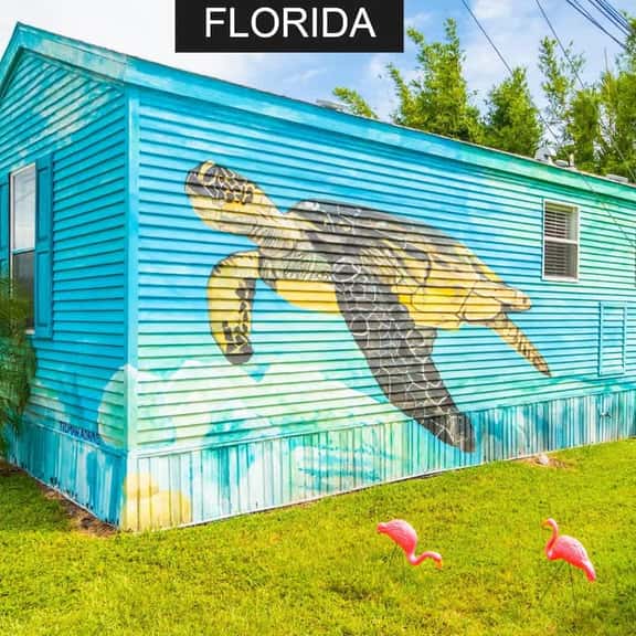 Sea Turtle- Full Sized living at Tiny House Siesta - Image 1
