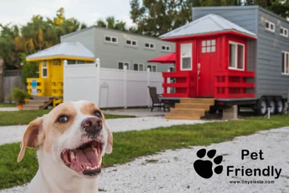 Red Lifeguard Stand - pet freindly - Image 5