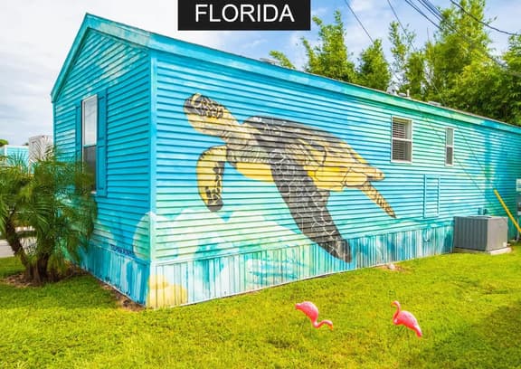 Sea Turtle- Full Sized living at Tiny House Siesta - Image 1